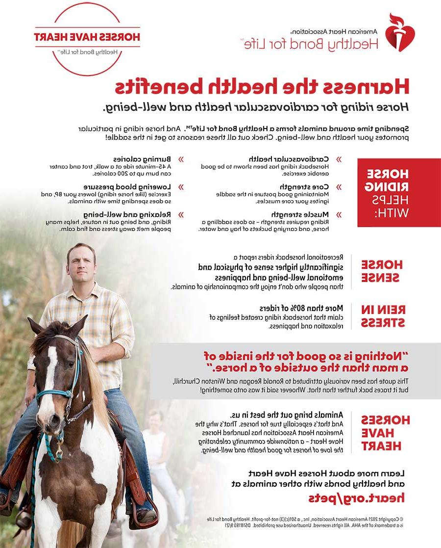 Horse riding for cardiovascular health and well-being infographic
